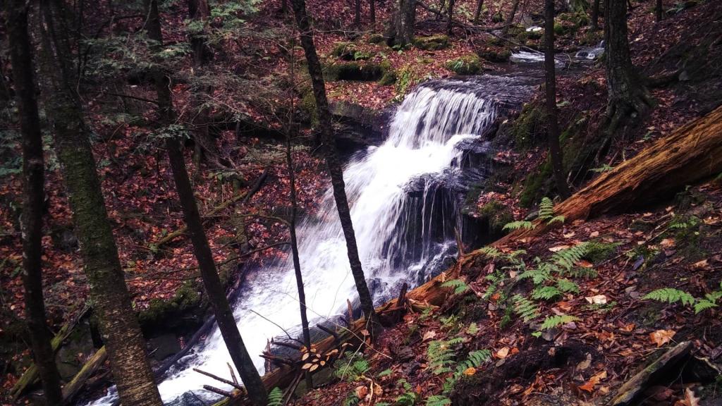Photo: Schenevus Creek Waterfall on Webb Hill