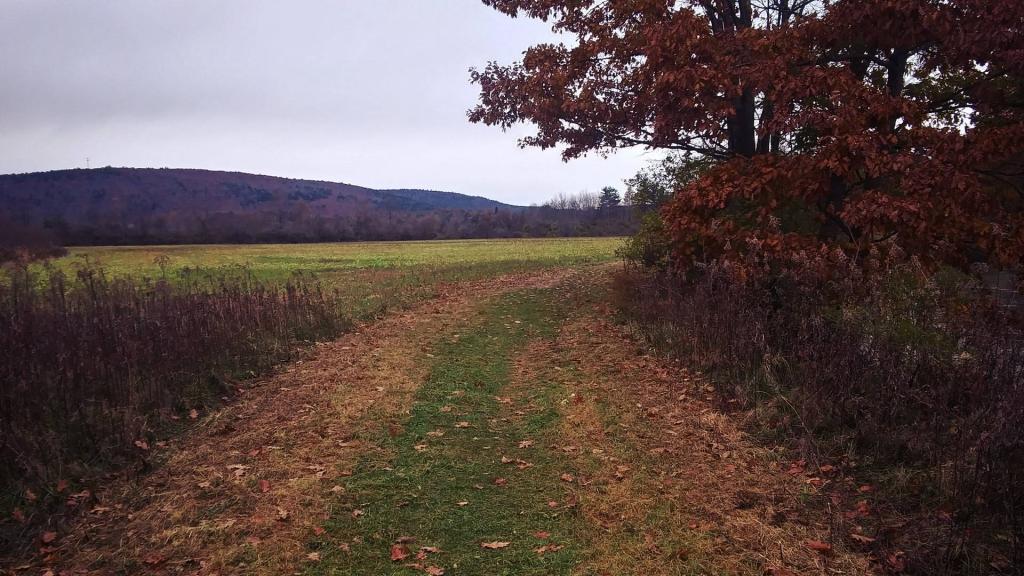 Photo: Hills