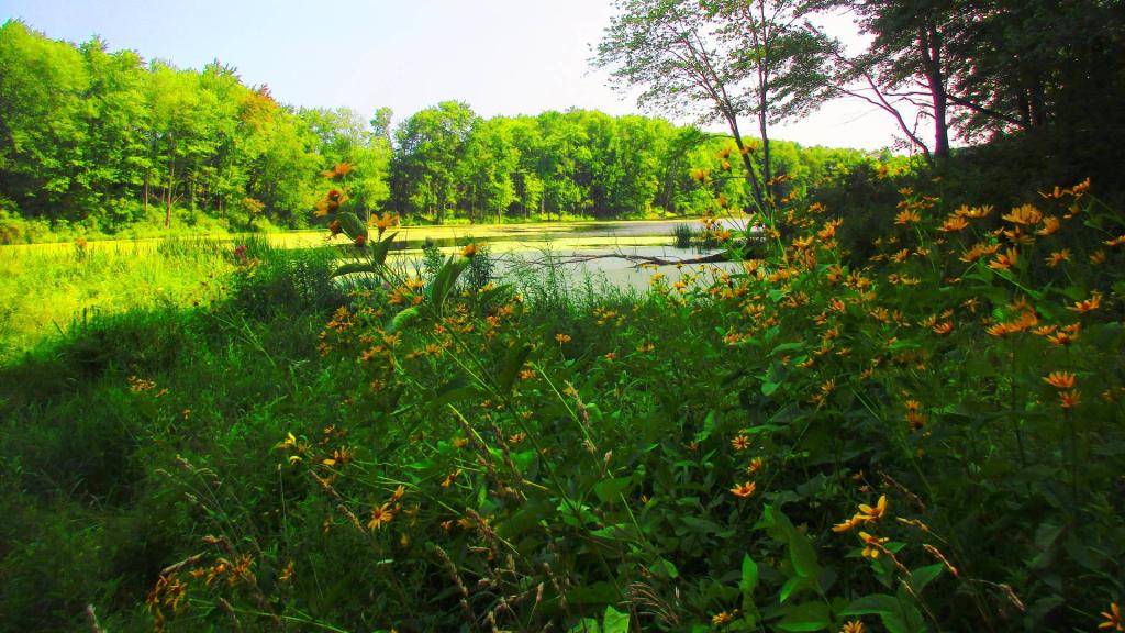Photo: Coleman Lake Photo: Coleman Lake