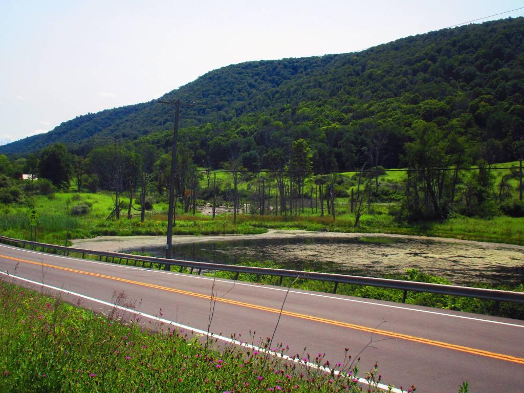 Photo: Route 34 Photo: Route 34