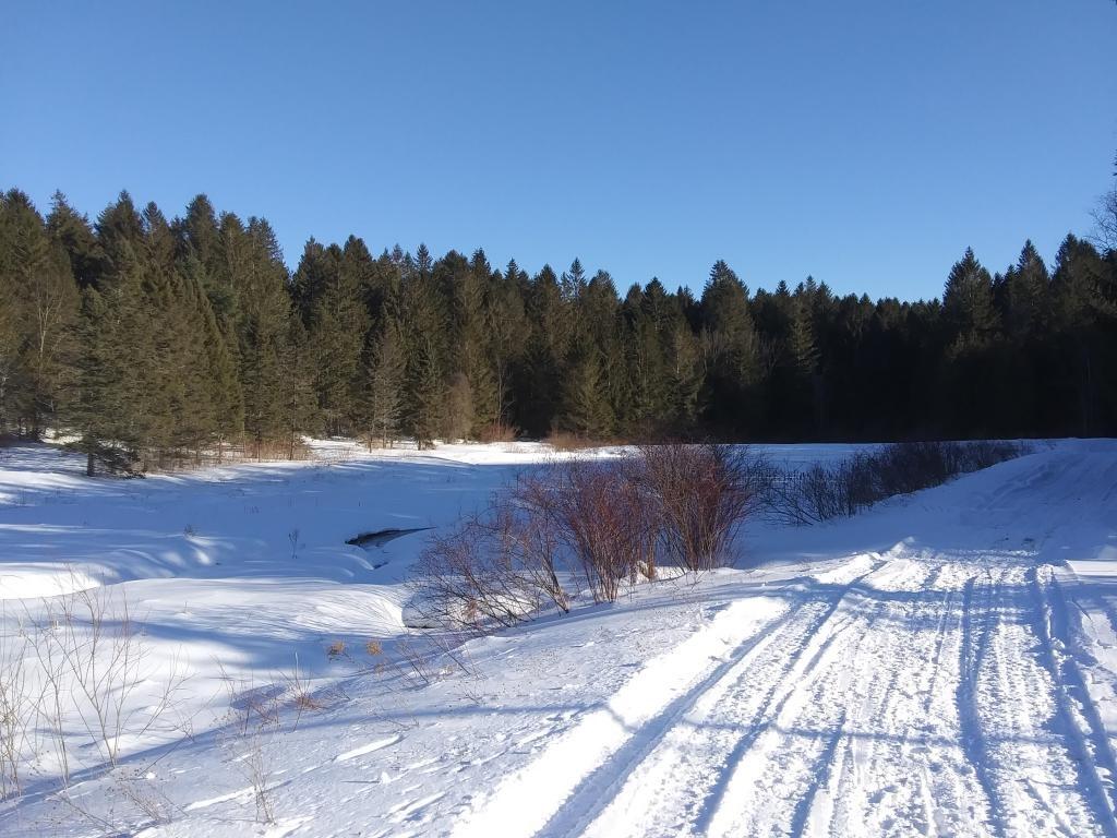 Photo: Pond