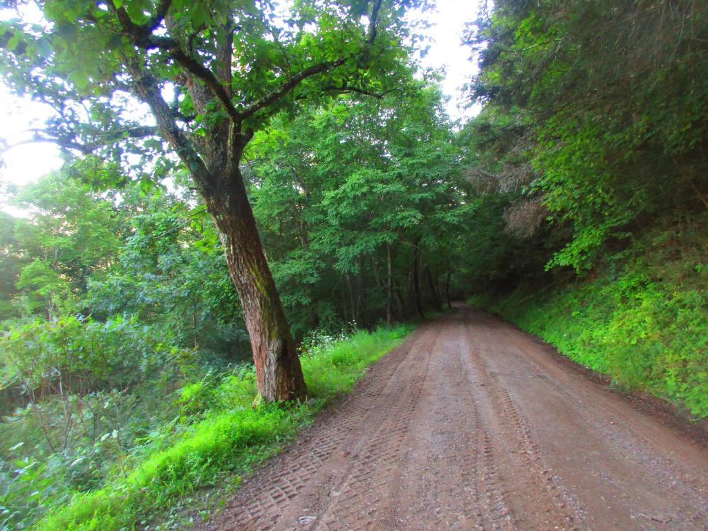 Photo: West Rim Road