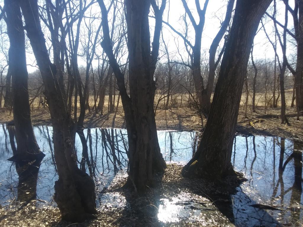 Photo: Fading winter