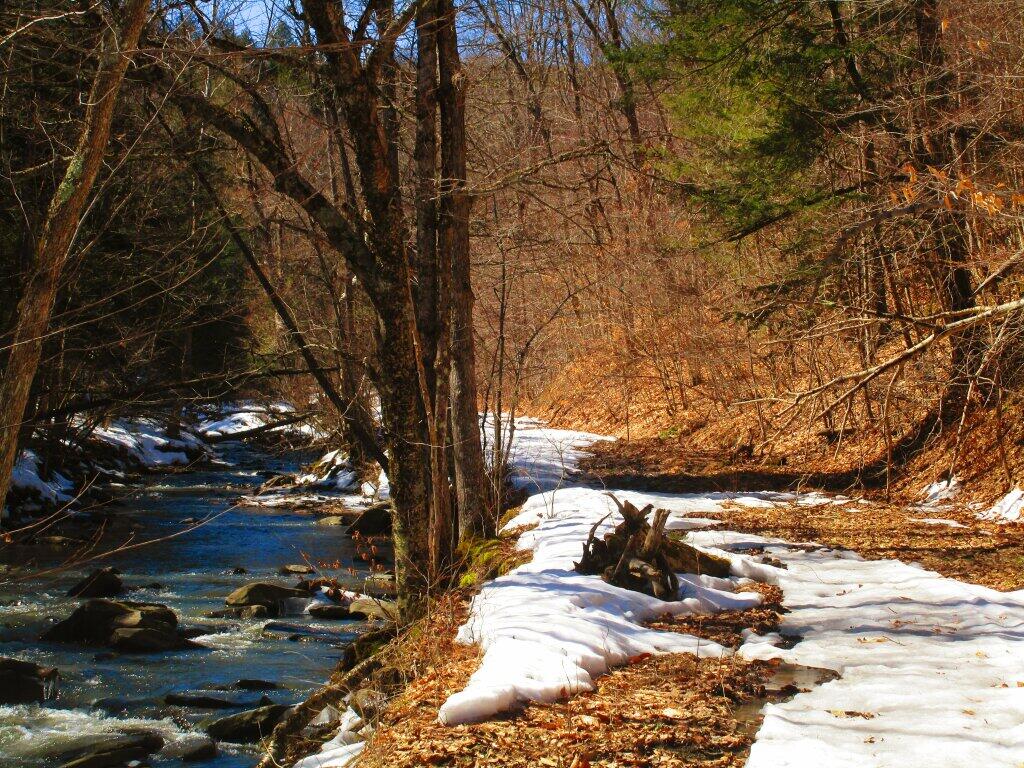 Photo: Old Partridge Run Road