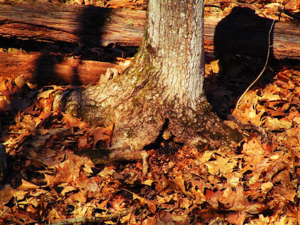 Photo: Watched
