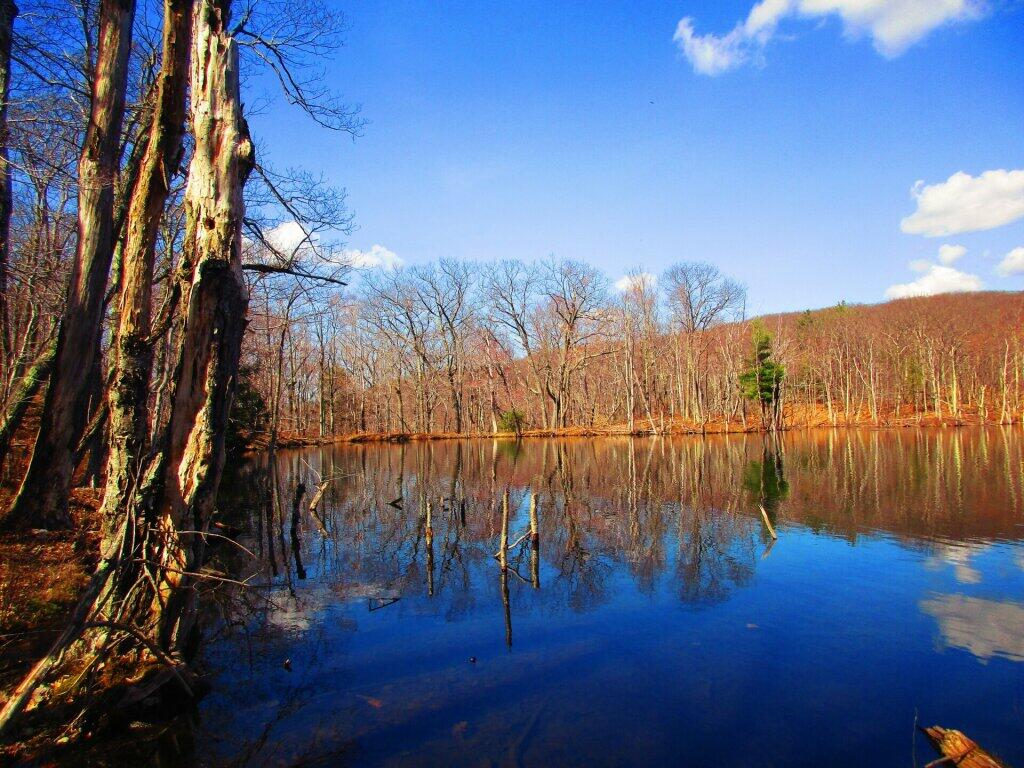 Photo: Twin Pond
