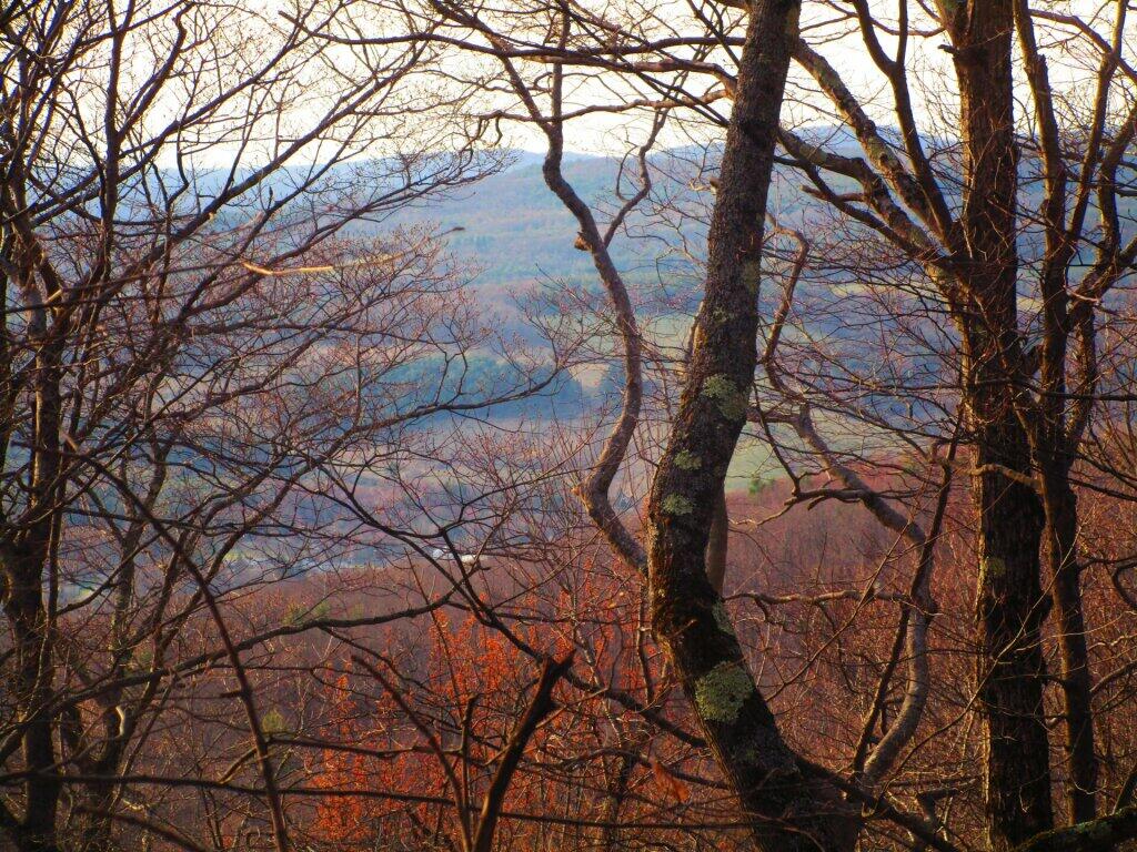 Photo: Views Along The Taconic Crest Trail Were So-So