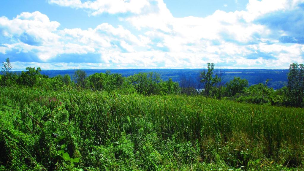 Photo: Cayuga Heights View from Cornell Botanical