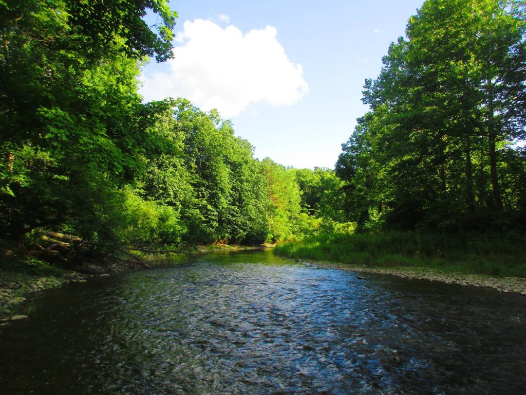 Photo: Falls Creek - Money Run Area of the Cornell Botanical Gardens Photo: Falls Creek - Money Run Area of the Cornell Botanical Gardens