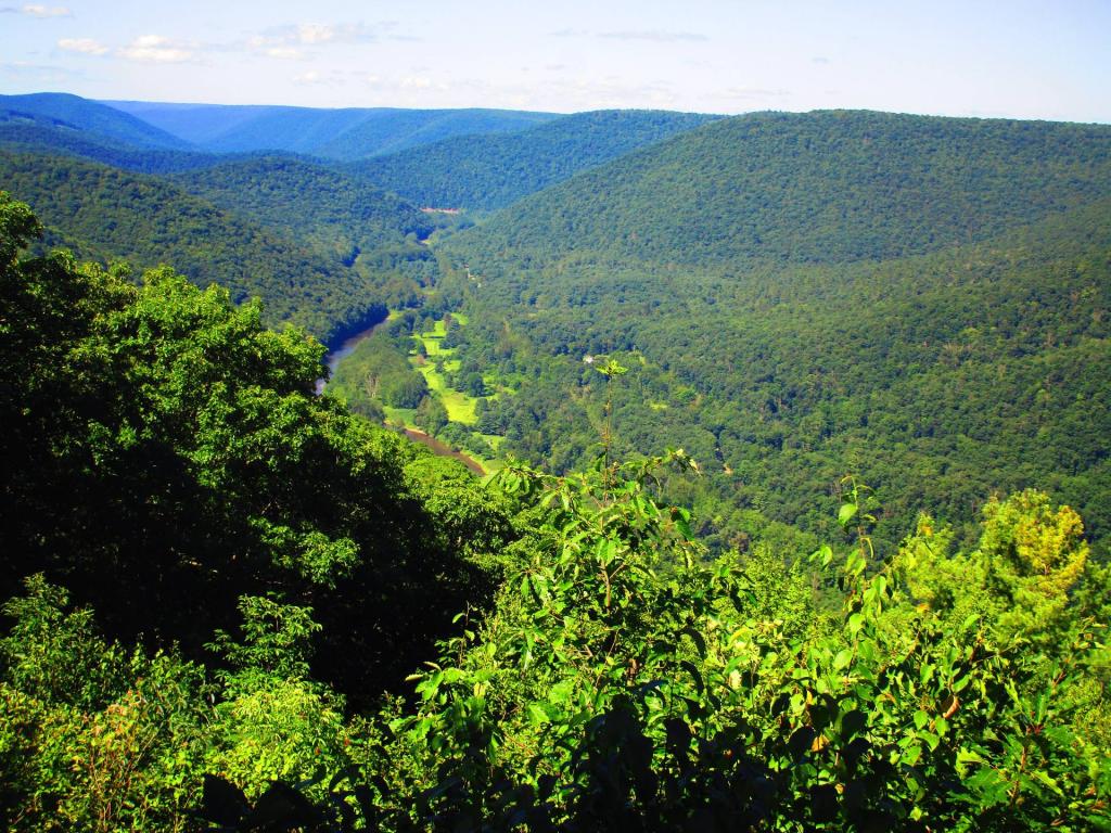 Photo: View South from Gillipse Peak Looking South