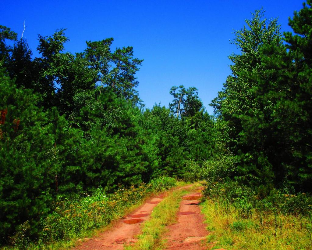 Photo: Old Mountain Road