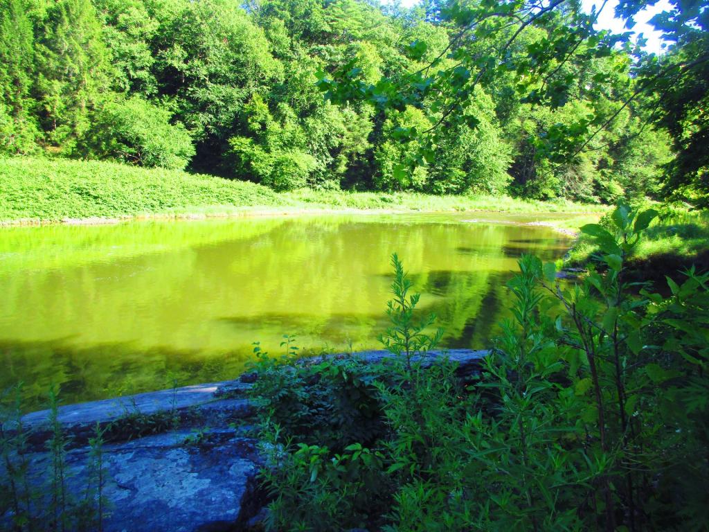 Photo: Rattlesnake Rock