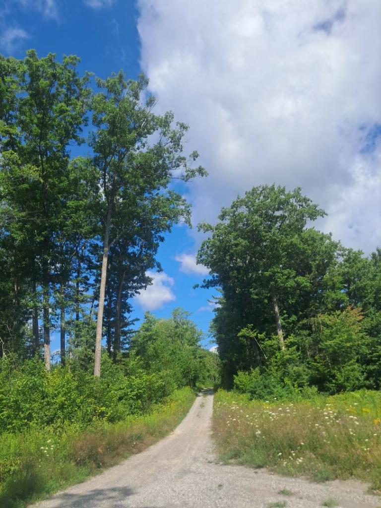 Photo: Untitled [Expires August 29 2026]