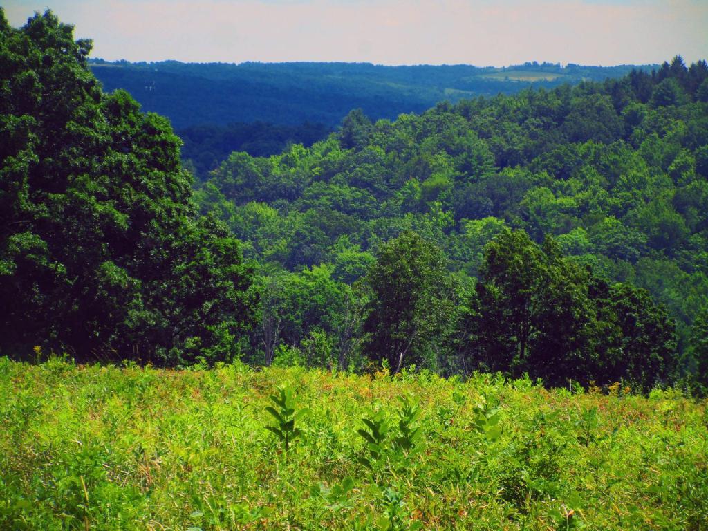 Photo: Hills Outside of Corning