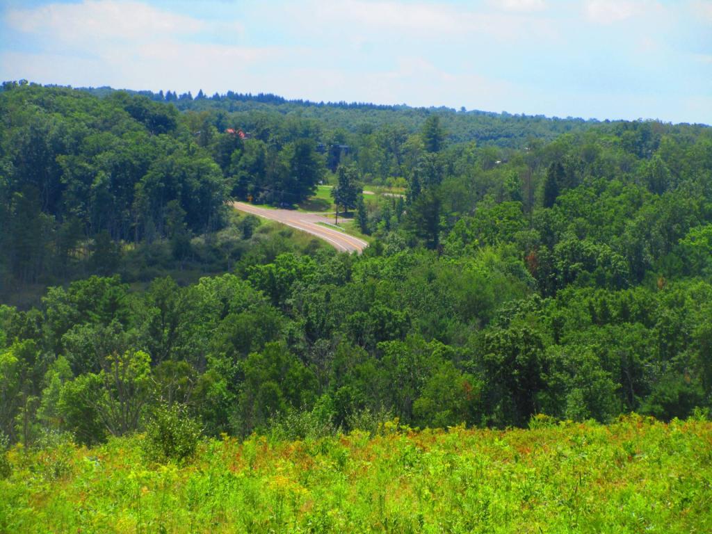 Photo: Spencer Hill Road