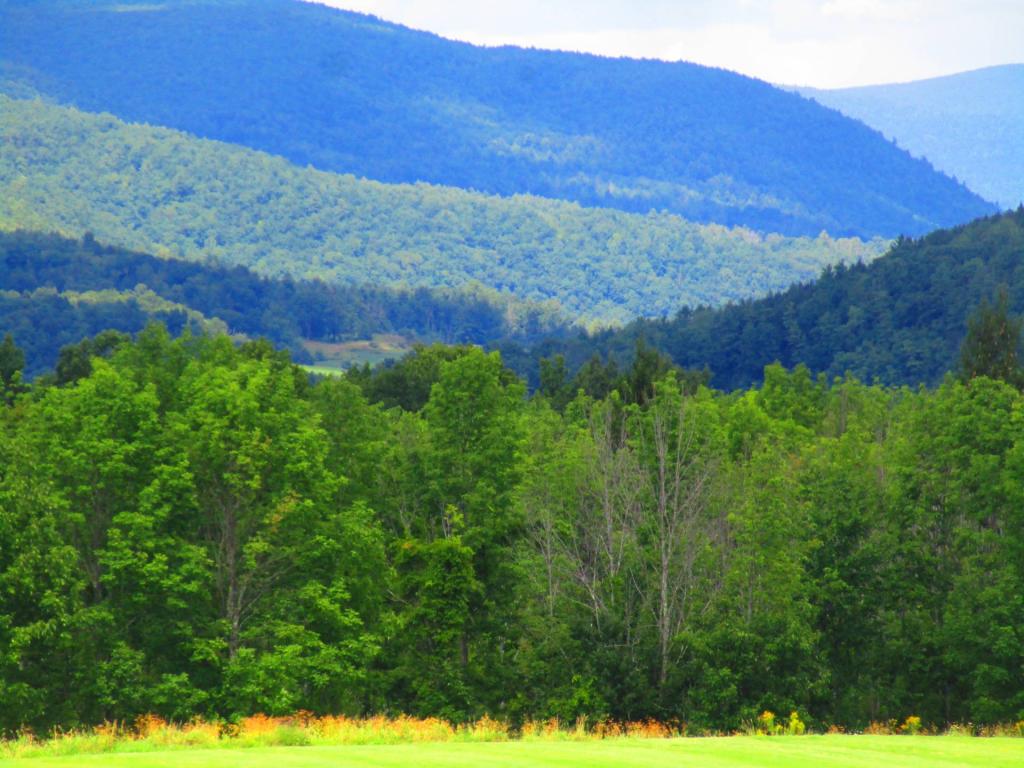 Photo: Burnt Hill  [Expires August 30 2026]