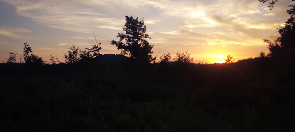 Photo: End of Summer